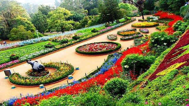 HD-wallpaper-ooty-botanical-garden-tamil-nadu-state-india-plants-blossoms-path-colors-trees.jpg