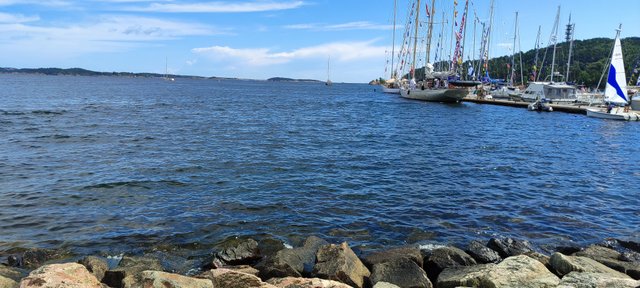 IMG_20250801_150353.jpg