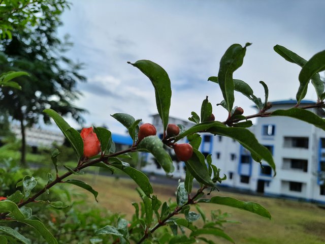 20220920_144603.jpg