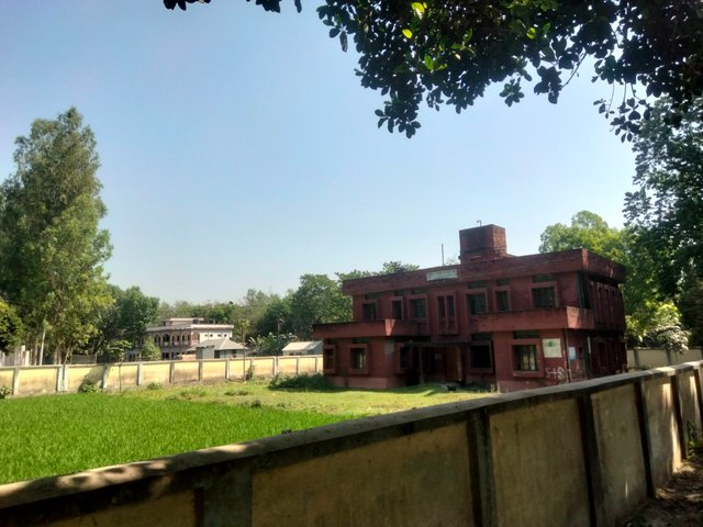 IMG20250329094644.jpg