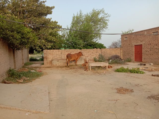 IMG_20210820_175311.jpg