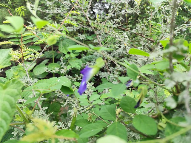 IMG_20250731_225605.jpg