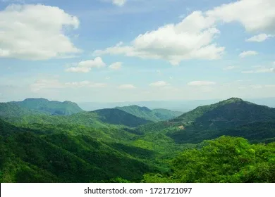 mountainsgreen-trees-nature-thailand-260nw-1721721097.webp