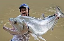 payara.jpg