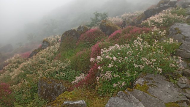20250915_110438.jpg