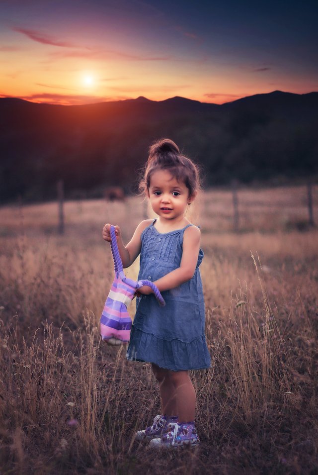 child-cute-girl-36029.jpg
