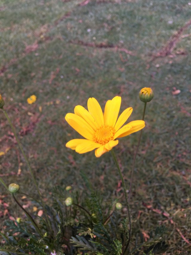 4AC2EA2D-F854-4A8E-836F-74530BA4E0C3.jpeg