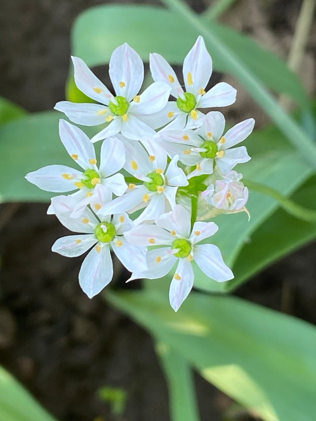 IMG7905.JPG