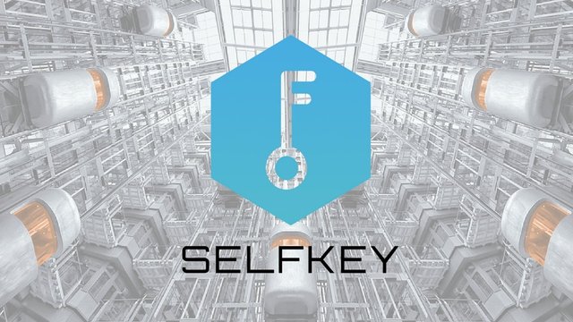 selfkey-coin-nasil-alinir.jpg