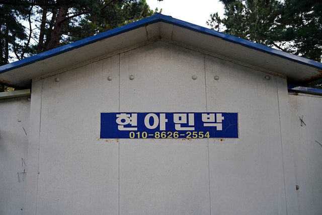b-DSC04036.JPG