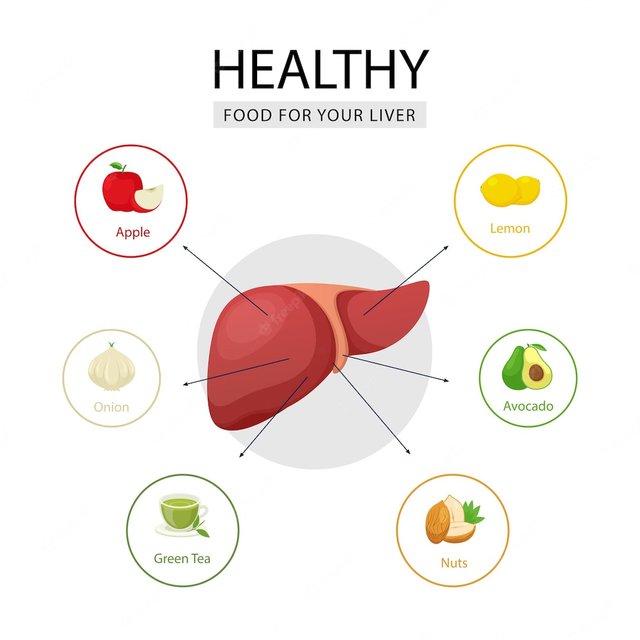 best-food-health-liver-health-food-illustration-nutrition-nutrition-infographic-concept_278713-296.jpg