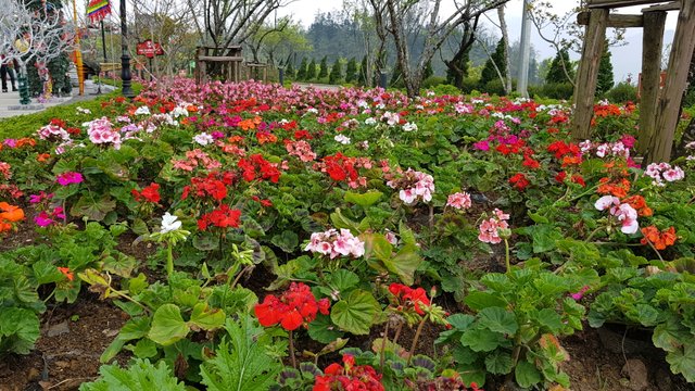 20180314_123830.jpg