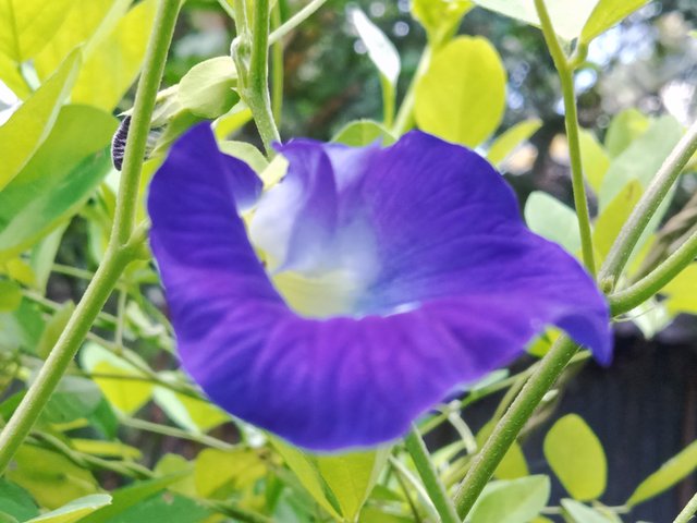 IMG_20250924_185558.jpg