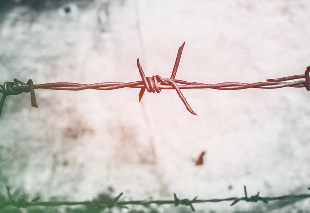 barb-wires-barbed-wire-blur-593101.jpg