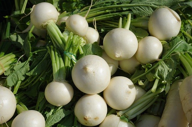 turnip-318148_640.jpg