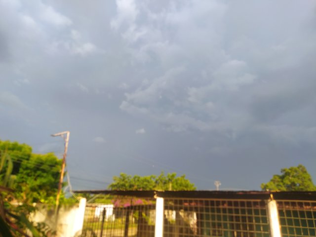 IMG_20250703_173825.jpg