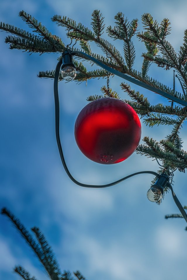 christmas-ornament-4707204_1280.jpg