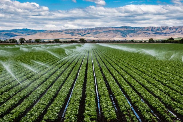 fruit-crop-irrigation-systems.jpg
