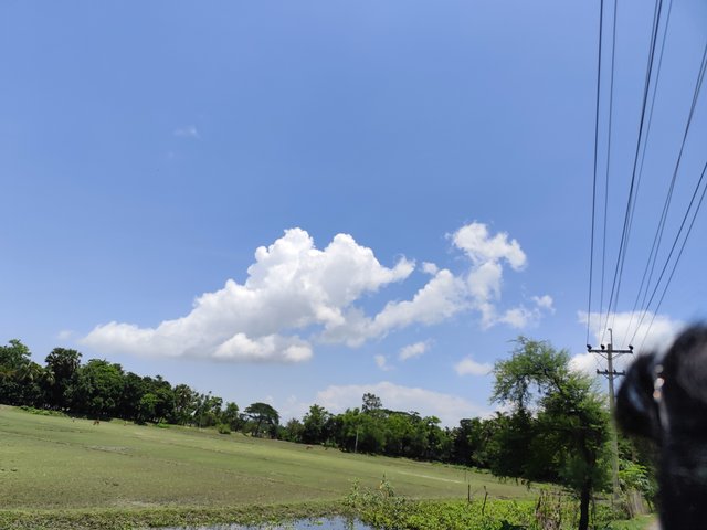 IMG_20250613_122410.jpg