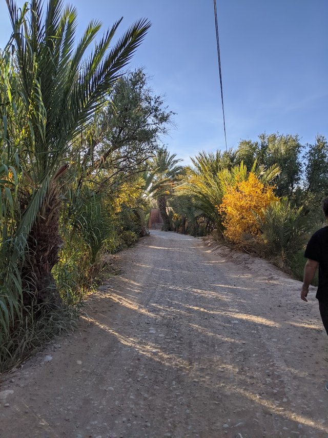 IMG_20191122_171605.jpg
