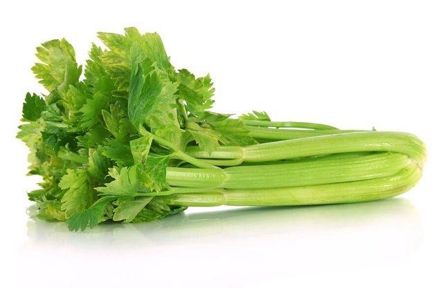celery.jpeg