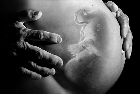 fetus-inside-the-mothers-pregnant-belly.jpg