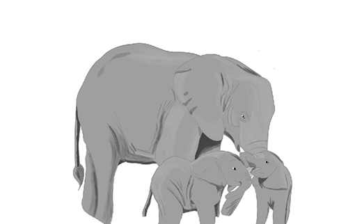 Elefante 4.png