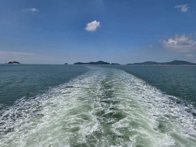 20250807_115316.jpg