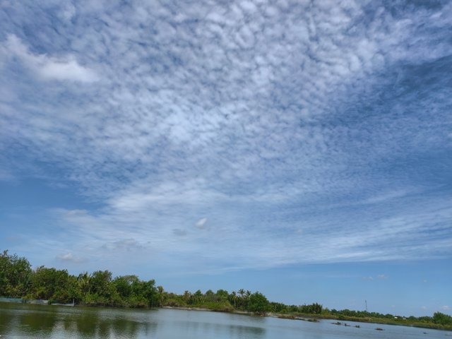 IMG_20250521_090113.jpg