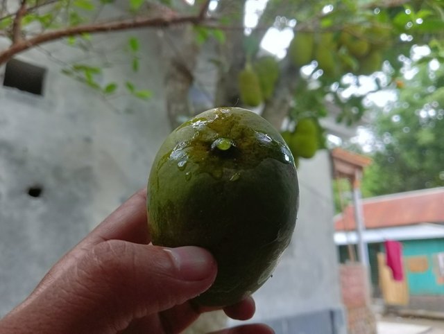 IMG20250512133657.jpg