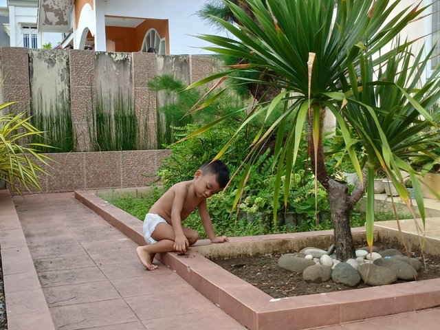 1000190273.jpg