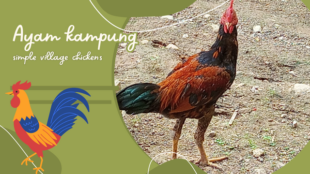 Hijau Ilustrasi Berpetualang ke Pulau Komodo YouTube Thumbnail_20250430_142736_0000.png