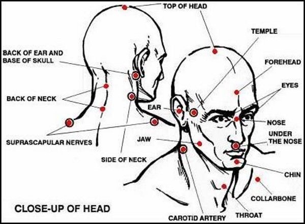 Martial Arts Pressure Points Self Defense.jpg