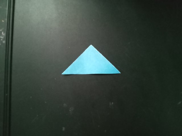 1000029938.jpg
