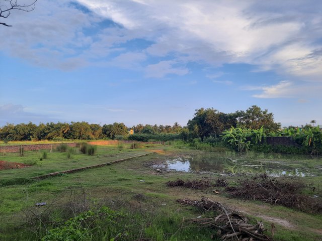 20220704_175631.jpg