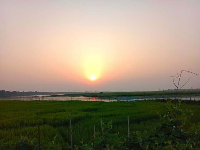 IMG_20250424_202940.jpg