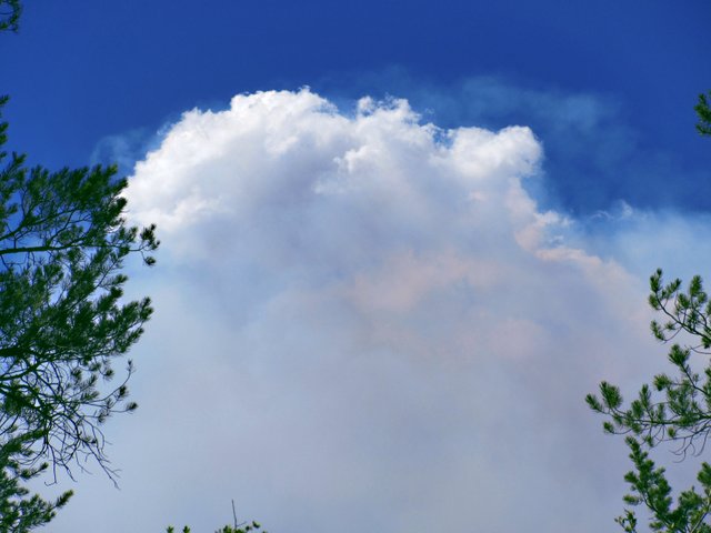 IMG_0069 rhino fire cloud 7x9.jpg