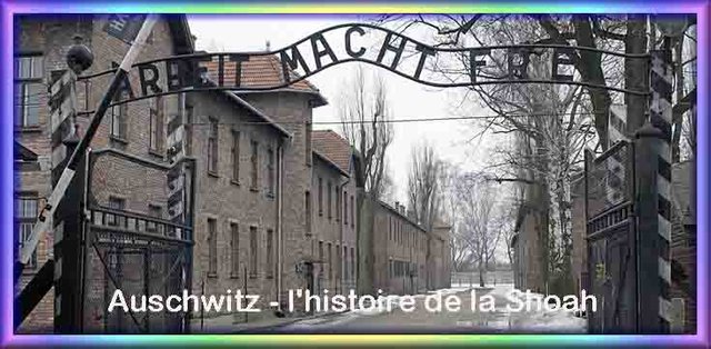 lieu_auschwitz.JPG