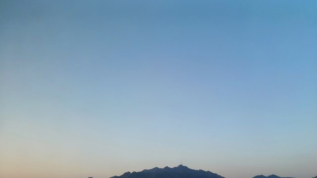 1000019082.jpg