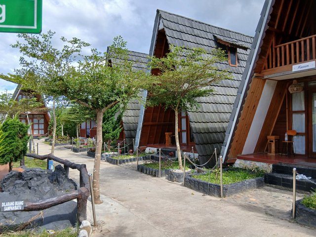 20250418_145725.jpg