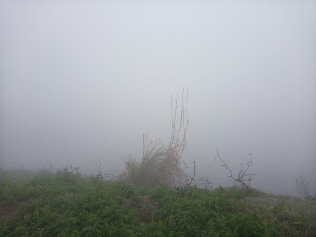 20220206_081853.jpg