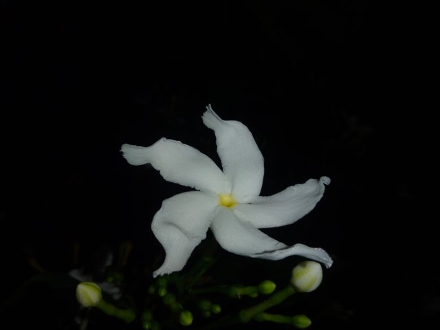 IMG20250728190935.jpg