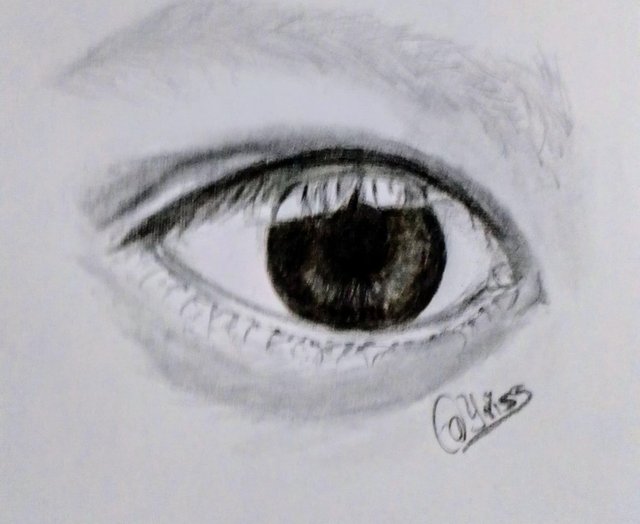 ojo8.jpg
