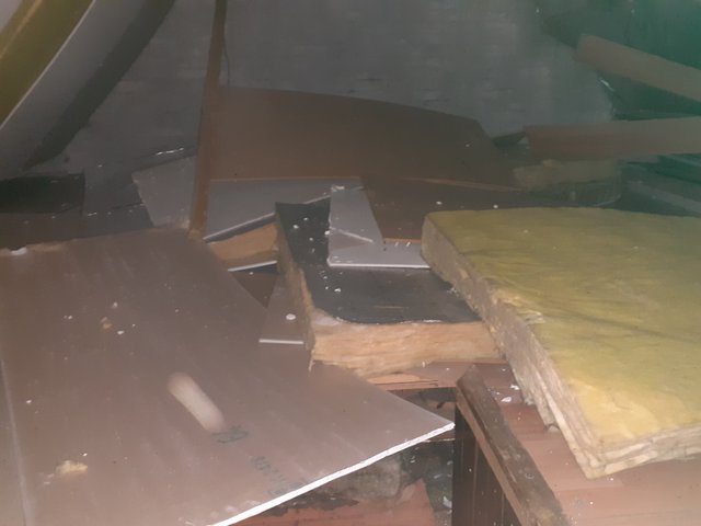 20250916_164556.jpg