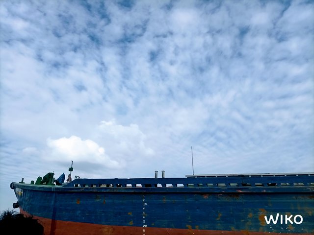 IMG_20241129_133927083.jpg