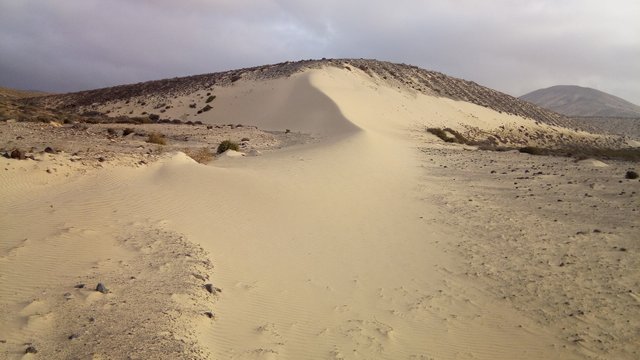 Playa de Sotavento (7).jpg