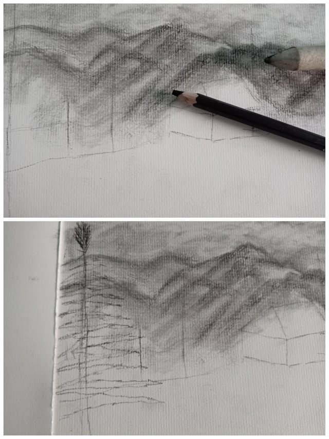 Collage_20250702_104810.jpg