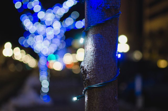 Cool blue lights on the city trees.JPG