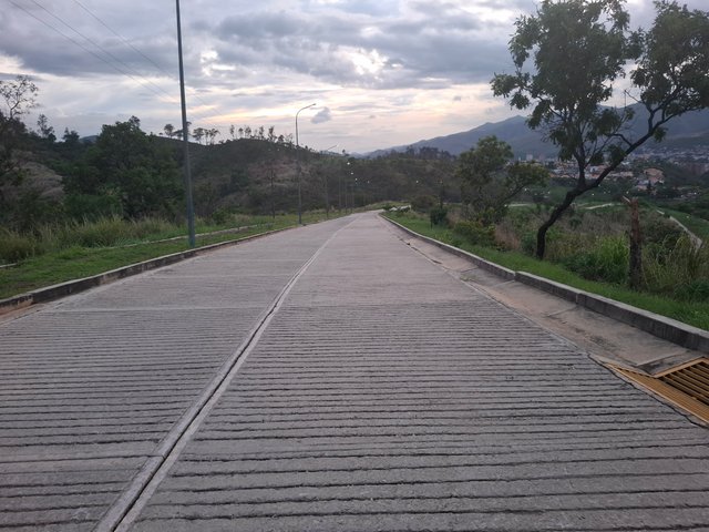 1000290691.jpg