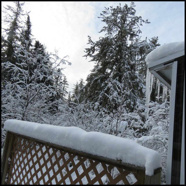 snowy scene from my deck looking south.JPG